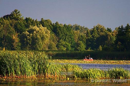 Evening Fishers_50119.jpg - Photographed near Lindsay, Ontario, Canada.